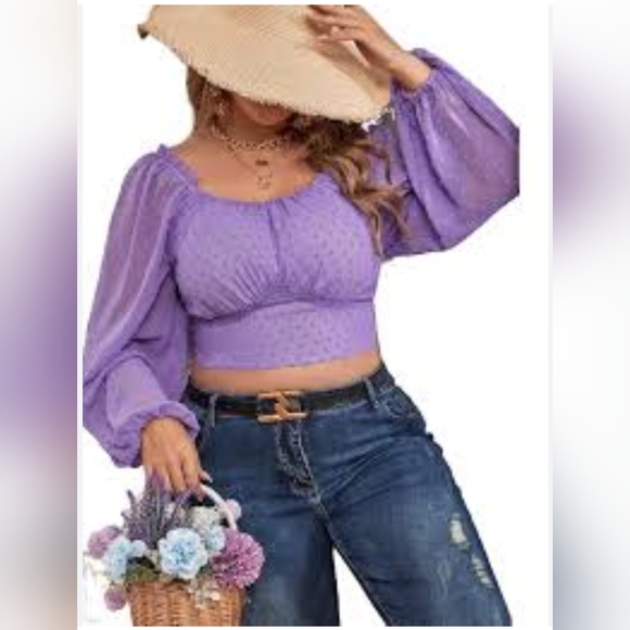 NWOT lavender, sheer balloon sleeves, smocked back, peasant top 2X - Picture 2 of 6